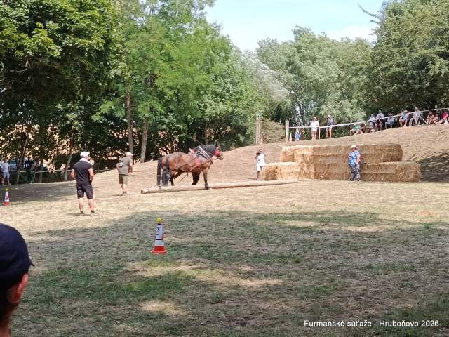 IMG_20260801_132329